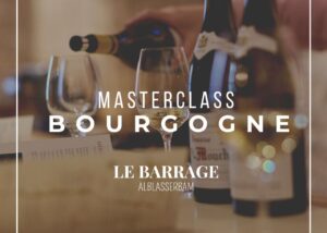 Masterclass Bourgogne: Een Meesterlijke Reis door Wijnparadijs