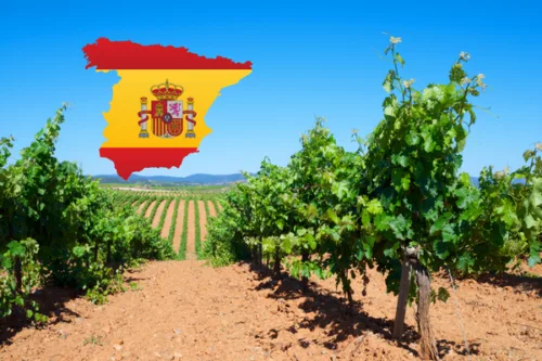 9-delige Spaanse wijncursus