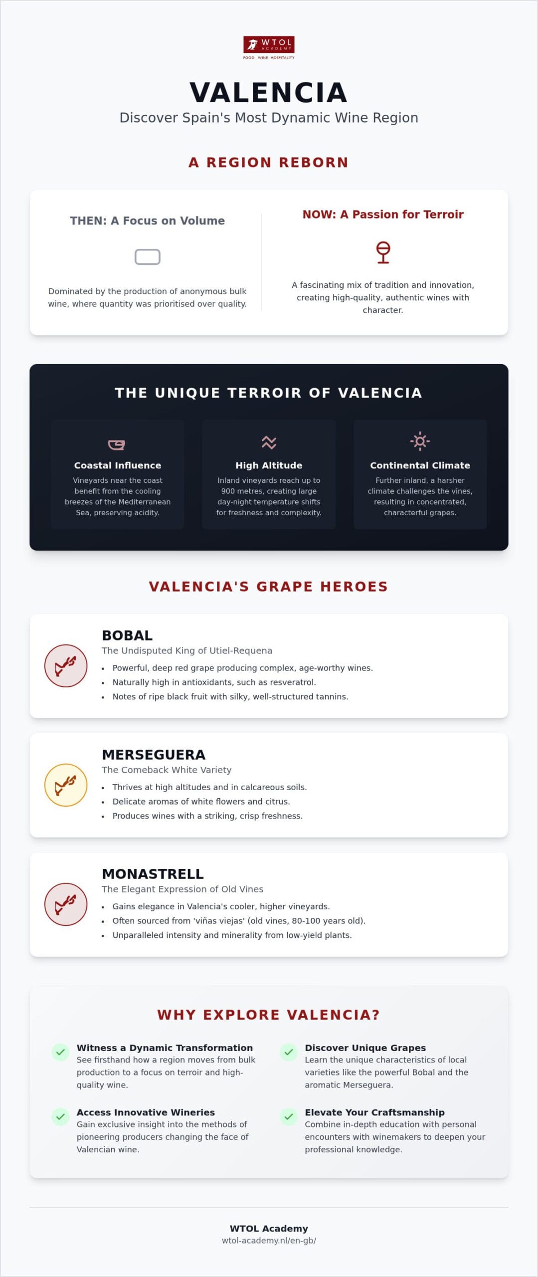 Valencia Wine Tour: Discover the Best Wineries and Wines