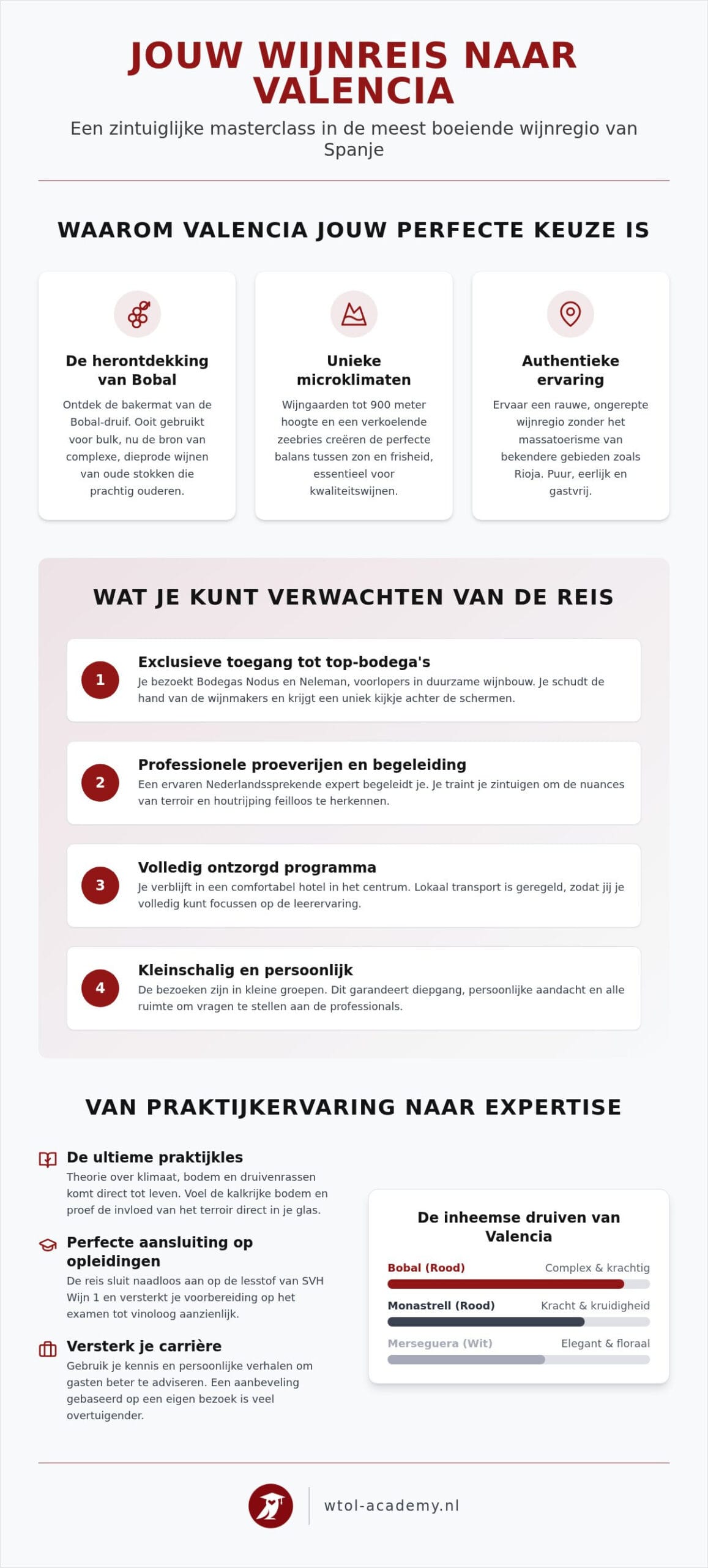 Wijnreis Valencia: ontdek de verborgen schatten van de Spaanse wijngaarden