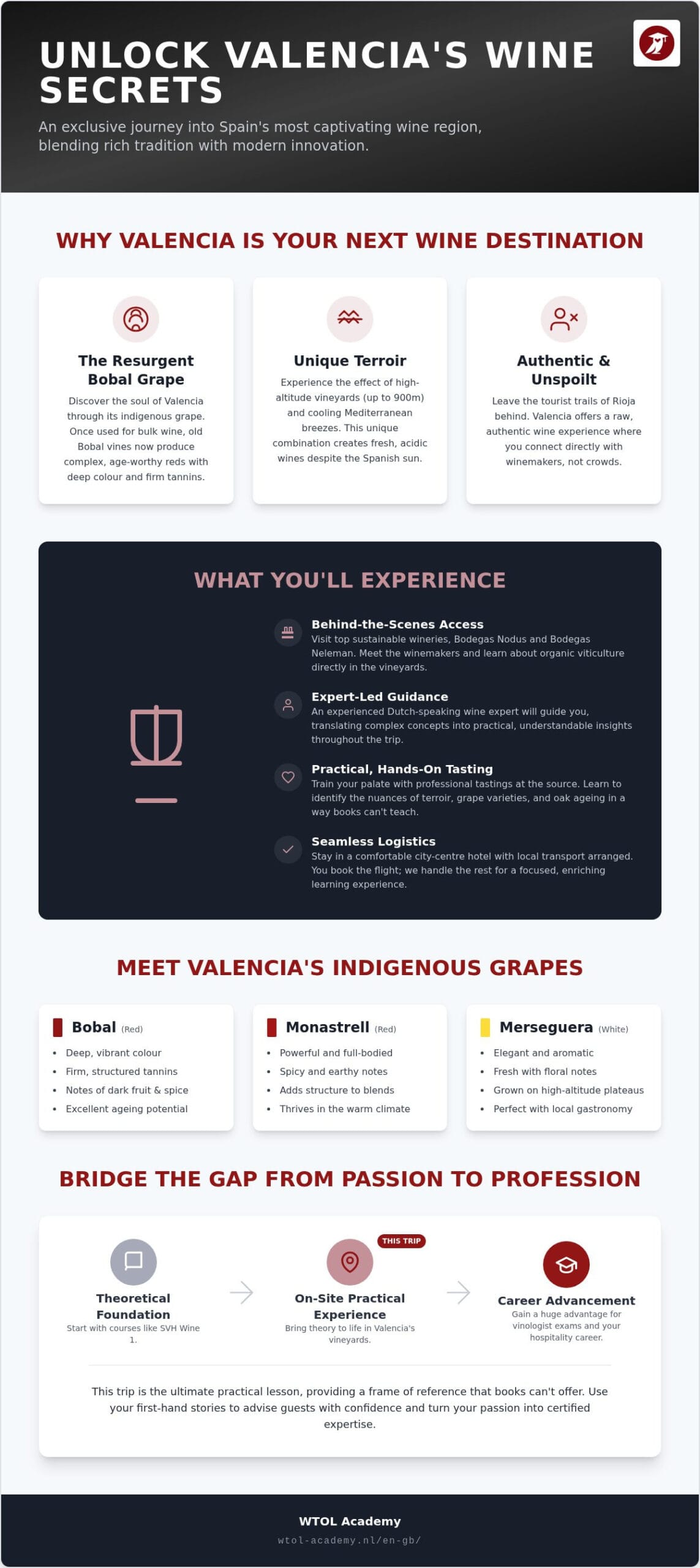 Wine Trip Valencia: discover the hidden treasures of Spanish vineyards