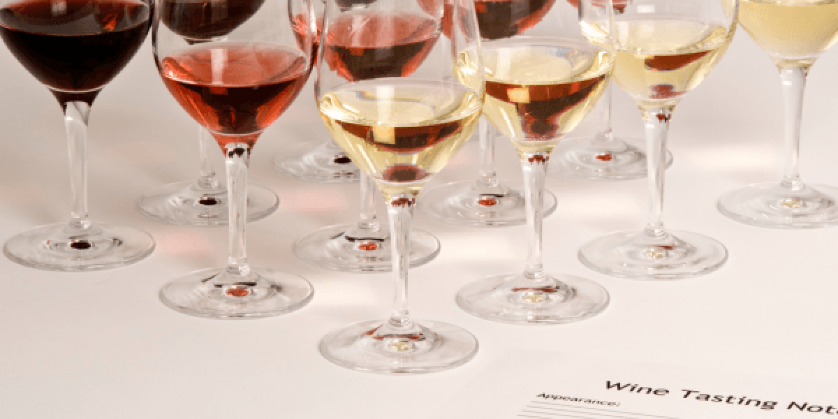 SVH Vinoloog opleiding
