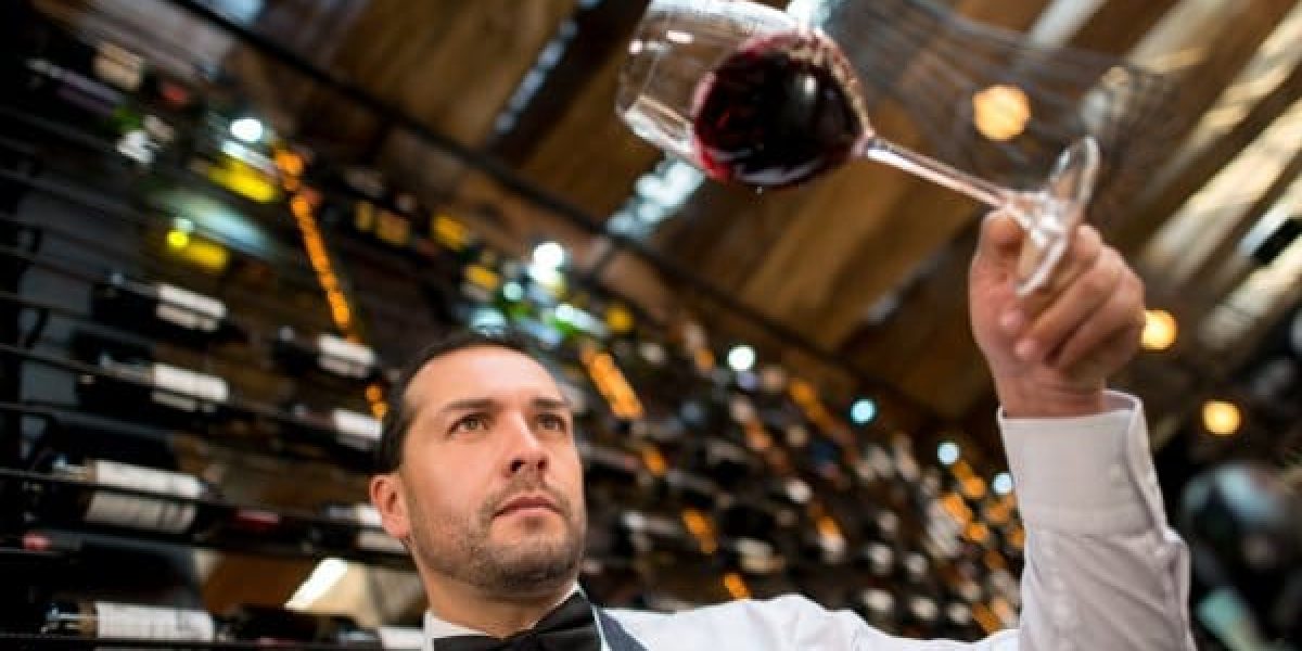 Training to become a vinologist: choose a learning path that suits you